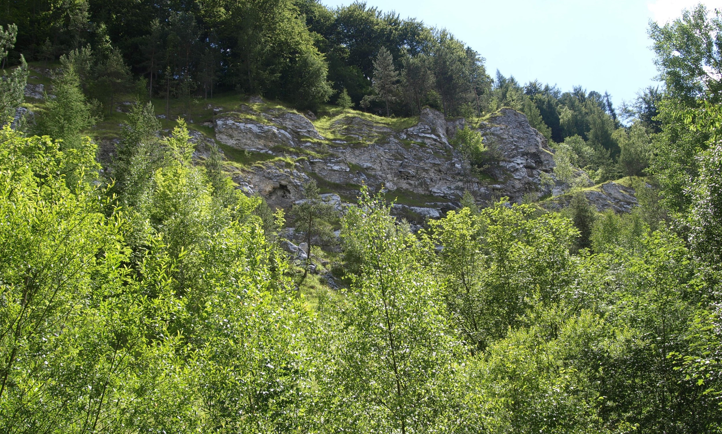Gips Ausflug Gipskarst2014 09 Foto BUND Thueringen